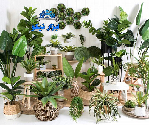 مزایای نگهداری از گل و گیاه در منزل