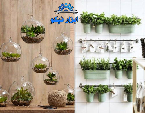 نگهداری از گل و گیاه در آپارتمان