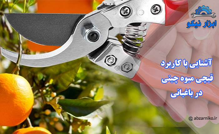 آشنایی با کاربرد قیچی میوه چینی در باغبانی