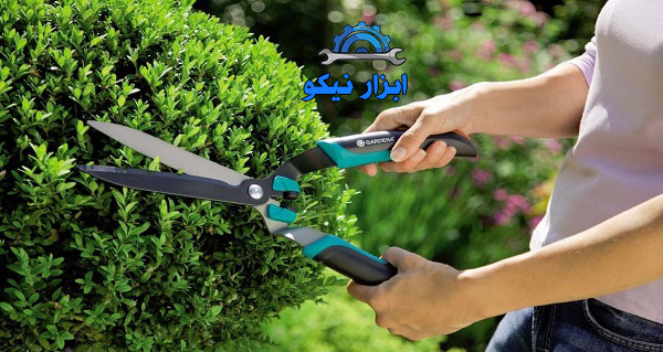 قیچی شمشاد زن