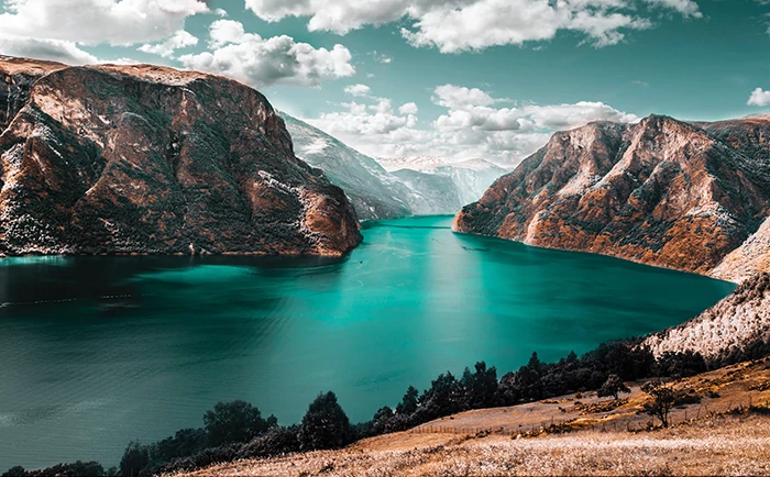 نصب کاغذ دیواری در کرج