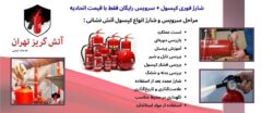 اهمیت شارژ کپسول آتشنشانی فوری و با قیمت اتحادیه